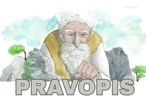 PRAVOPISNE MOZGALICE